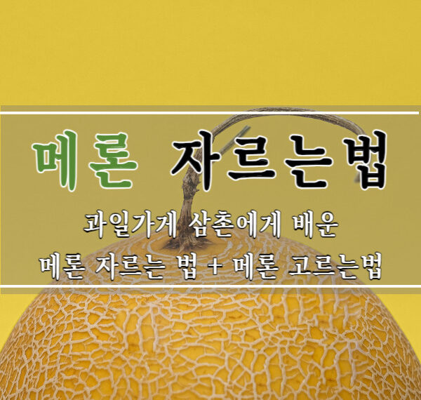 메론자르는법